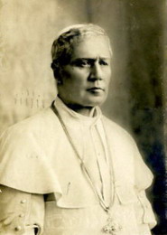адаптационные помехи (пий x, 1903-1914)
